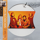 Gin Blossoms - Playlist Your Way